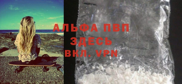амф Горняк