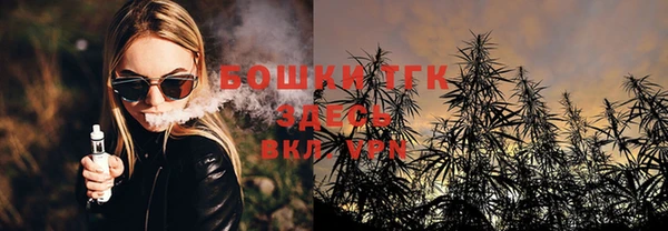 амф Горняк