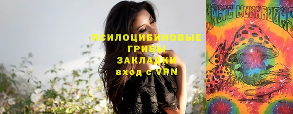 амф Горняк