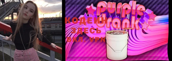 амф Горняк