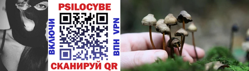 Купить где  Каменск-Шахтинский  Галлюциногенные грибы Psilocybine cubensis 